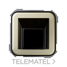 SIMON - SALIDA CABLES S.31 MARRON DEC.